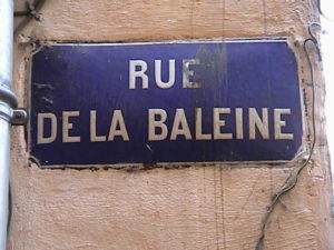 Lire la suite à propos de l’article Qu’est-ce qui peut nous pousser à faire du théâtre aujourd’hui ?