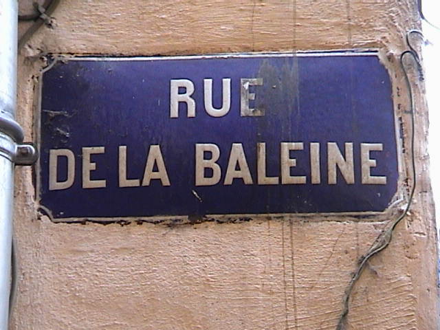 You are currently viewing Qu’est-ce qui peut nous pousser à faire du théâtre aujourd’hui ?